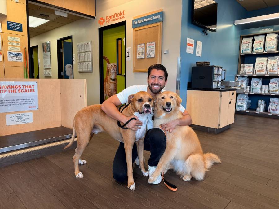 Jason Tartick Banfield Pet Hospital Hot Pics.jpg